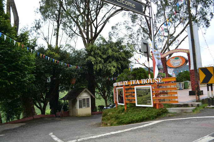 Makan Tengahari di Cameron Highlands